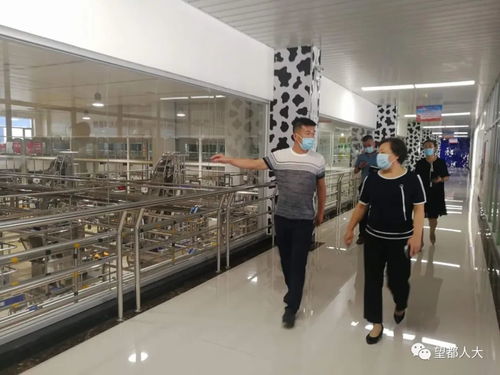 望都縣人大常委會主任劉洪潔調研綠色食品產業發展工作——義烏軟件開發的啟示